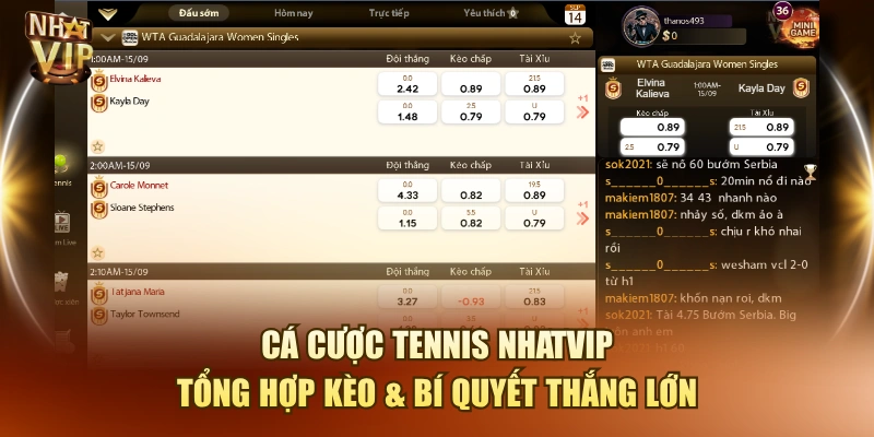 Cá Cược Tennis Nhatvip – Tổng Hợp Kèo & Bí Quyết Thắng Lớn