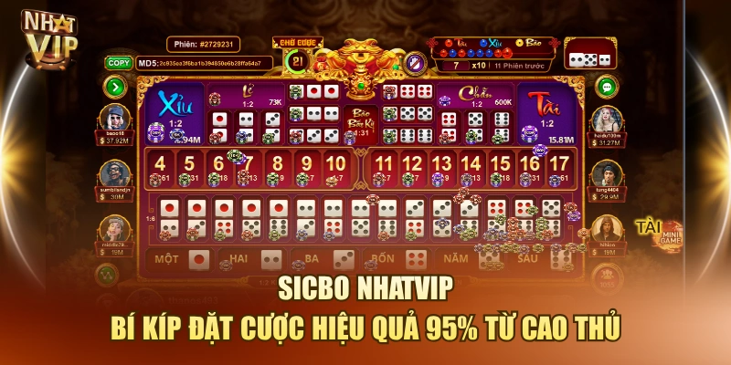 Sicbo Nhatvip – Bí Kíp Đặt Cược Hiệu Quả 95% Từ Cao Thủ
